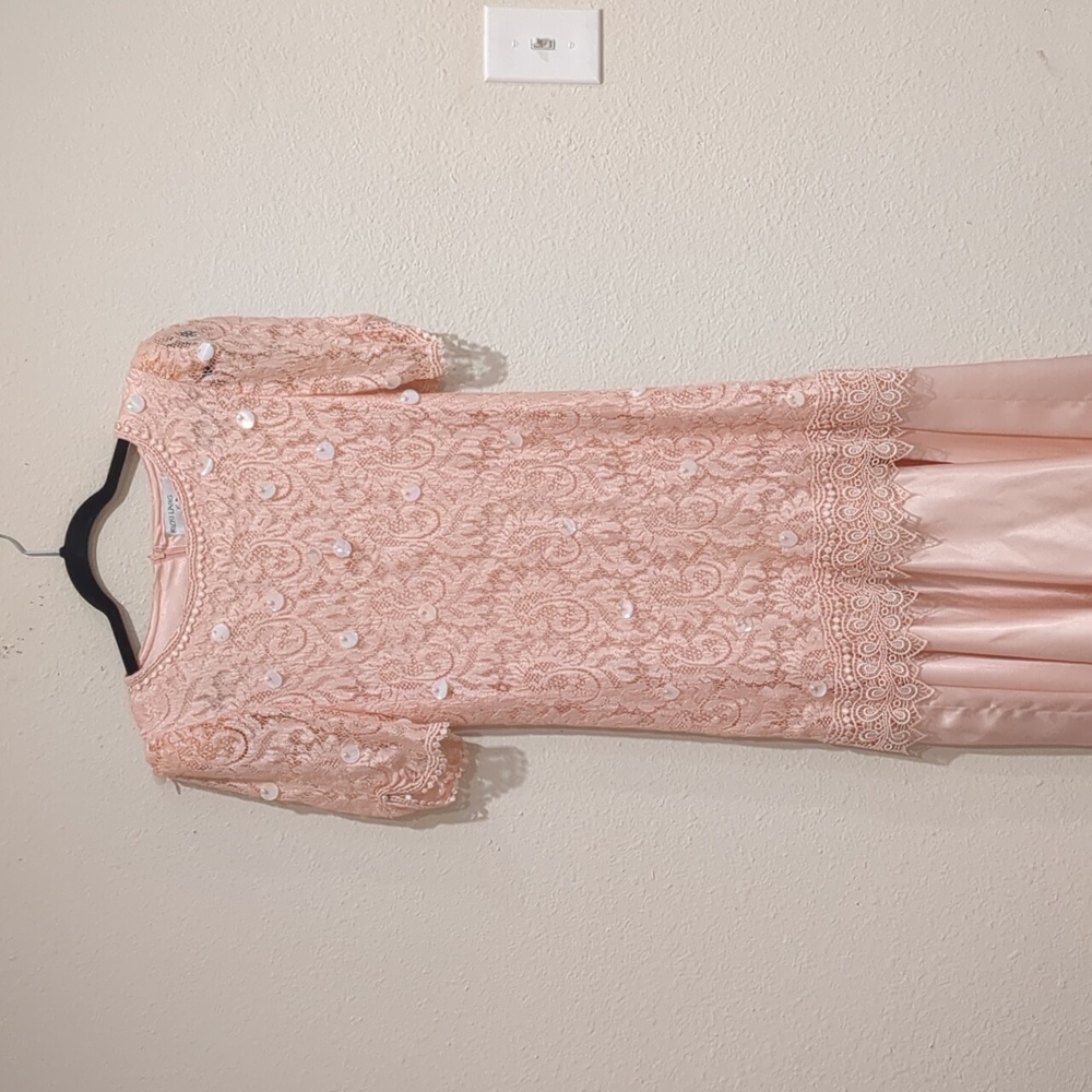 Ricki Lang for Nuit Vintage Pink Drop Waist Lace Dress Size Small